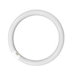 Λάμπα φθορίου Τ9 κυκλική (STANDARD) 32W  6400Κ