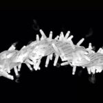 LED Αδιάβροχο Φωτεινό Σχοινι 9.2W 10М 100LED/Μ ΨΥΧΡΟ ΛΕΥΚΟ IP65
