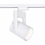 LED Σποτ Ράγας 25W Ψυχρό Λευκό  σε λευκό χρώμα