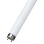 led